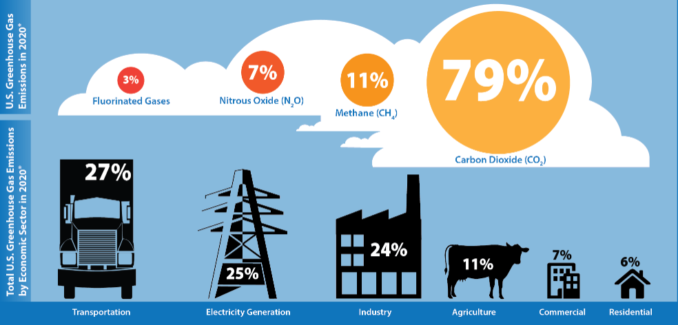 cows and GHG