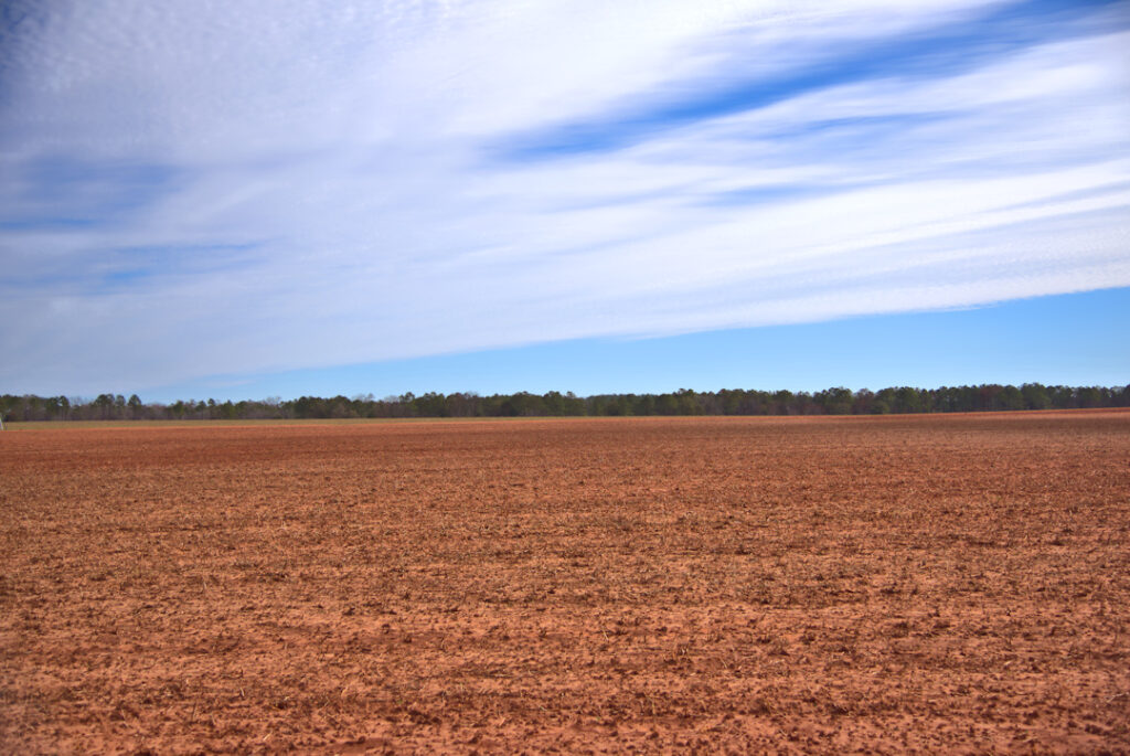 red soil