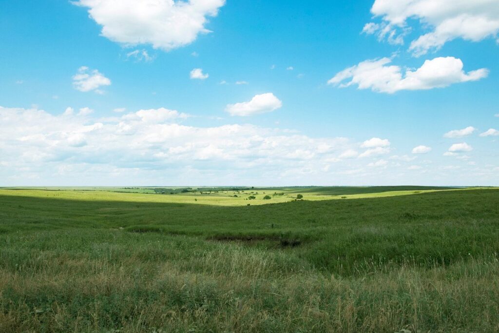 tallgrass prairie oklahoma