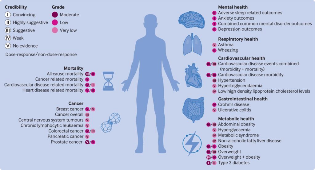 Ultraprocessed Foods